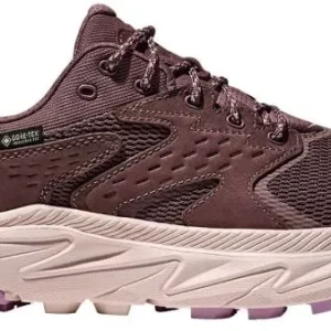 Anacapa 2 Low GTX Dames